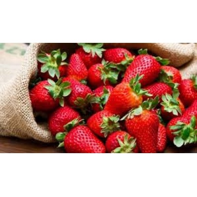 Curso Fresa hidropónia Presencial Practico 