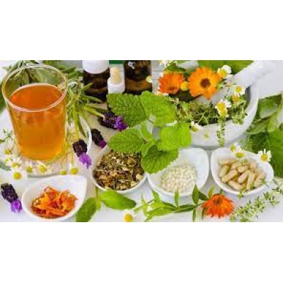 Curso Herbolaria y Botánica Mexicana Presencial 