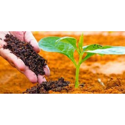 Curso Fabricación de Abonos Orgánicos 